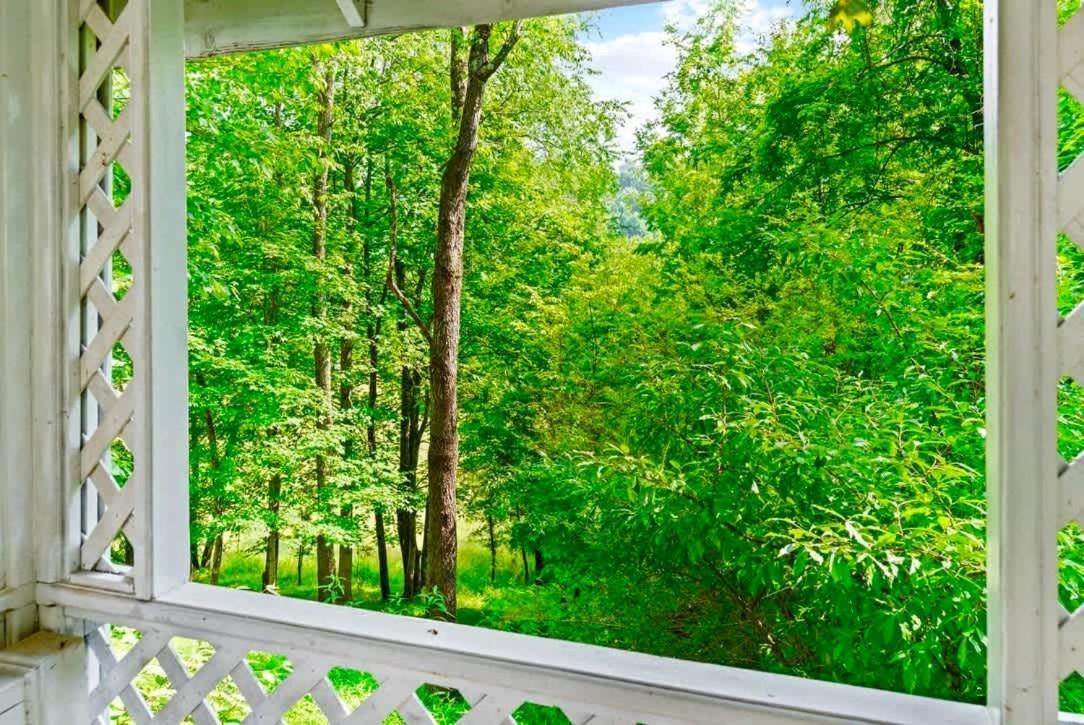Vila Gated Mansion - Basketball Court Movie Theater Views Big Stone Gap Exteriér fotografie
